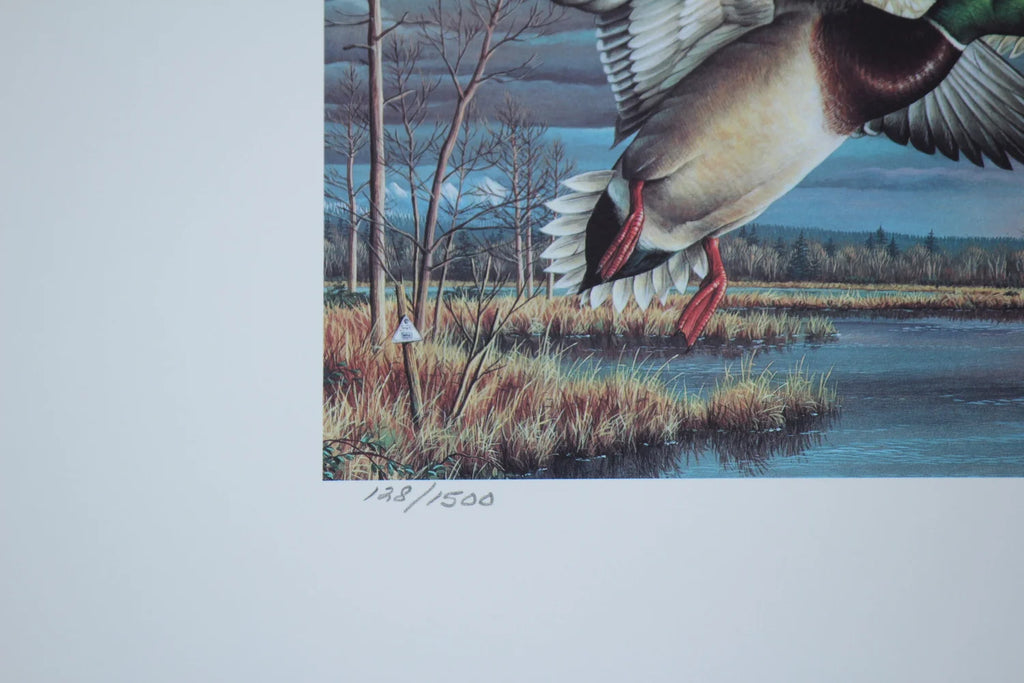 1995 Washington State Mallards Print and Stamp