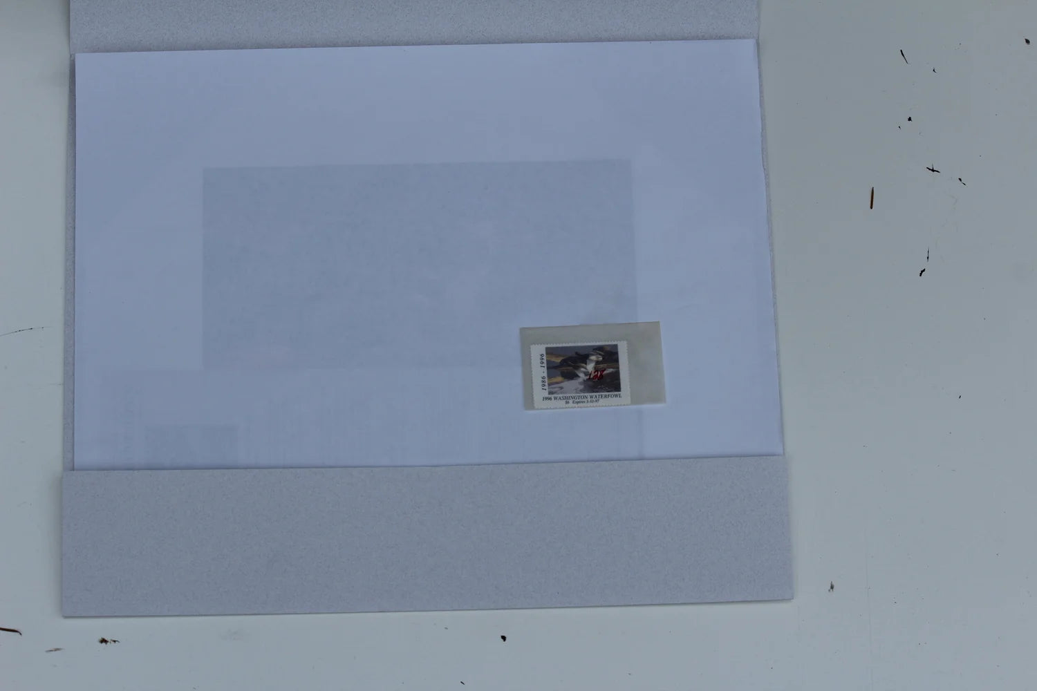 1996 Washington State Redhead Duck Print and Stamp
