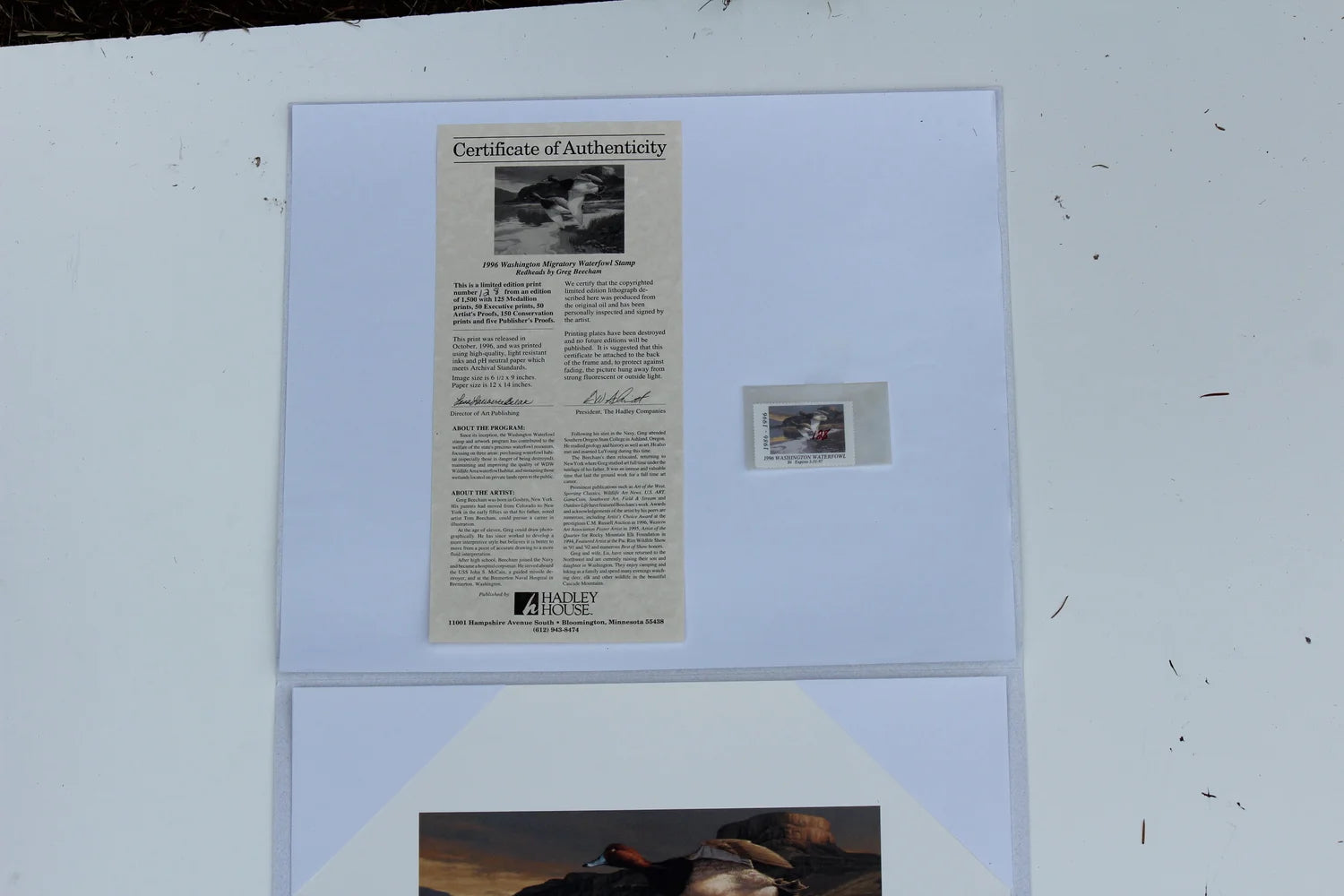 1996 Washington State Redhead Duck Print and Stamp