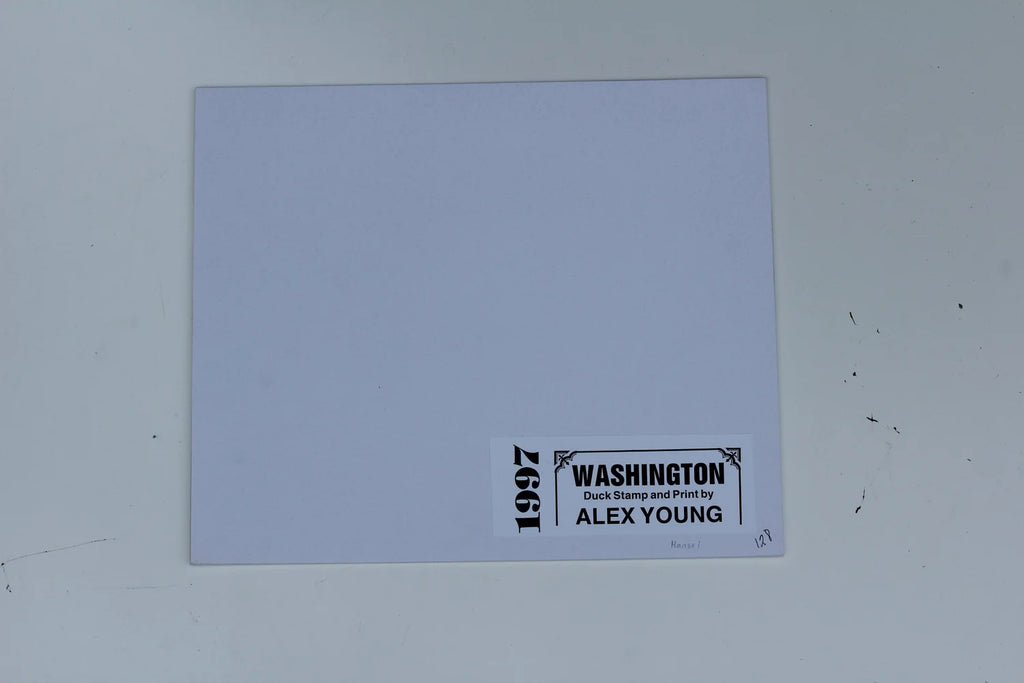 1997 Washington State Canada Geese Stamp and Print