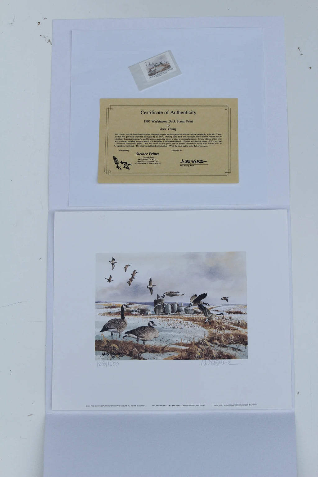 1997 Washington State Canada Geese Stamp and Print