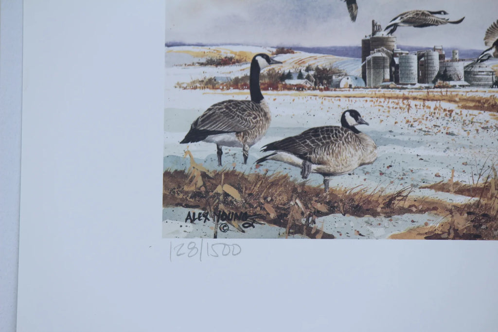 1997 Washington State Canada Geese Stamp and Print