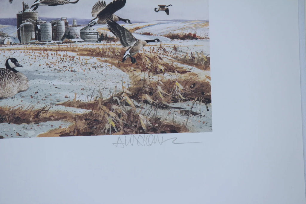 1997 Washington State Canada Geese Stamp and Print
