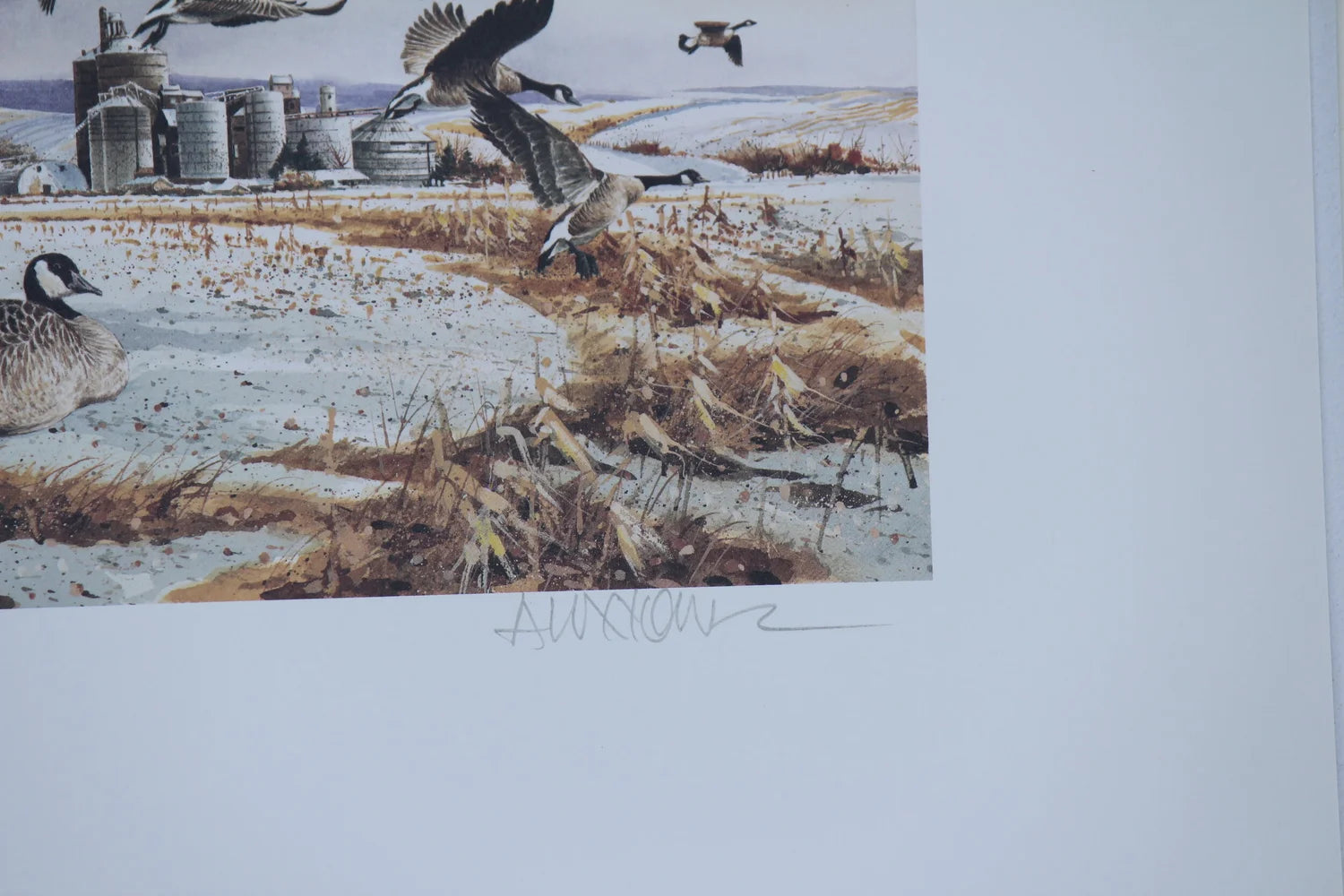 1997 Washington State Canada Geese Stamp and Print