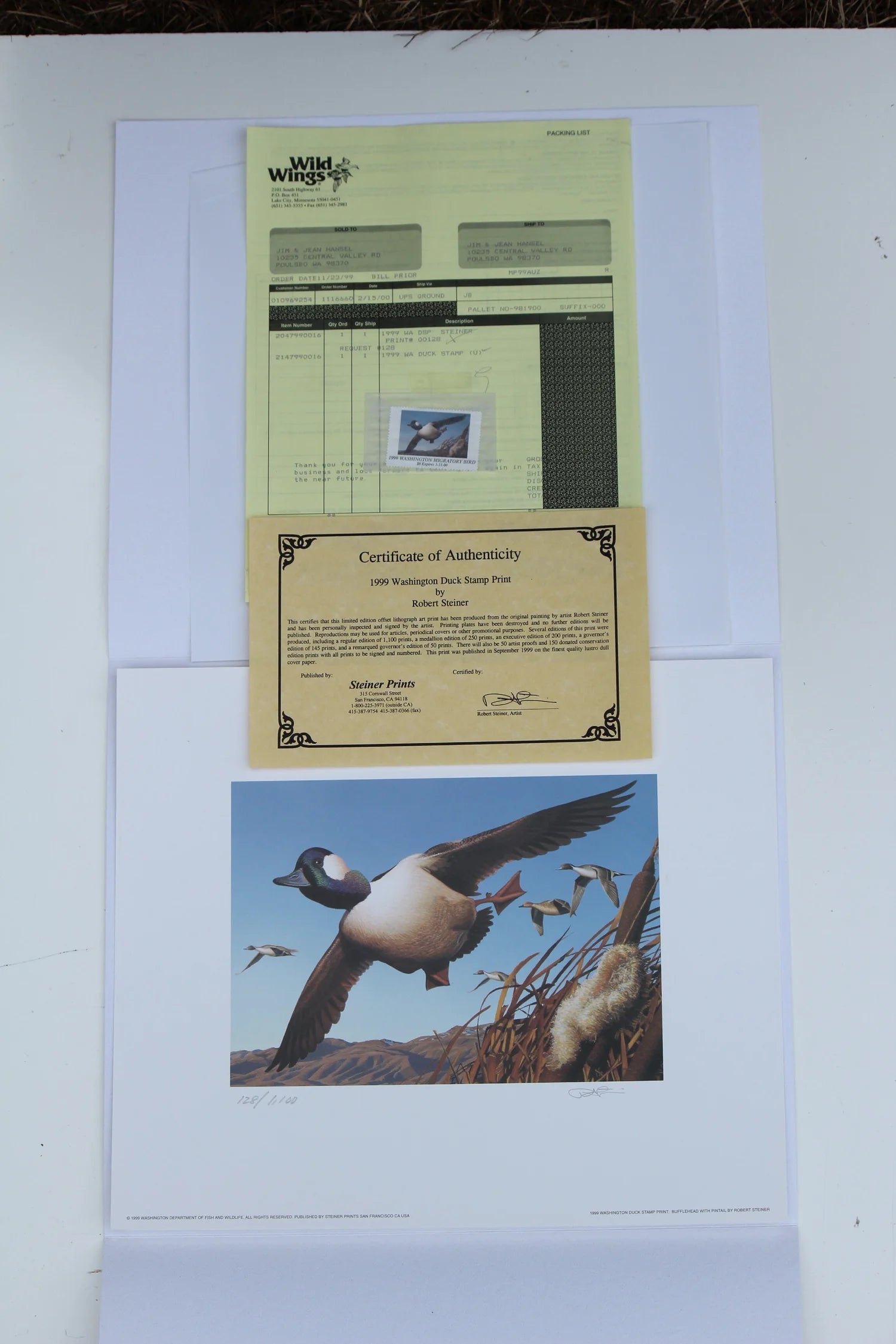 1999 Washington State Bufflehead Duck Print and Stamp
