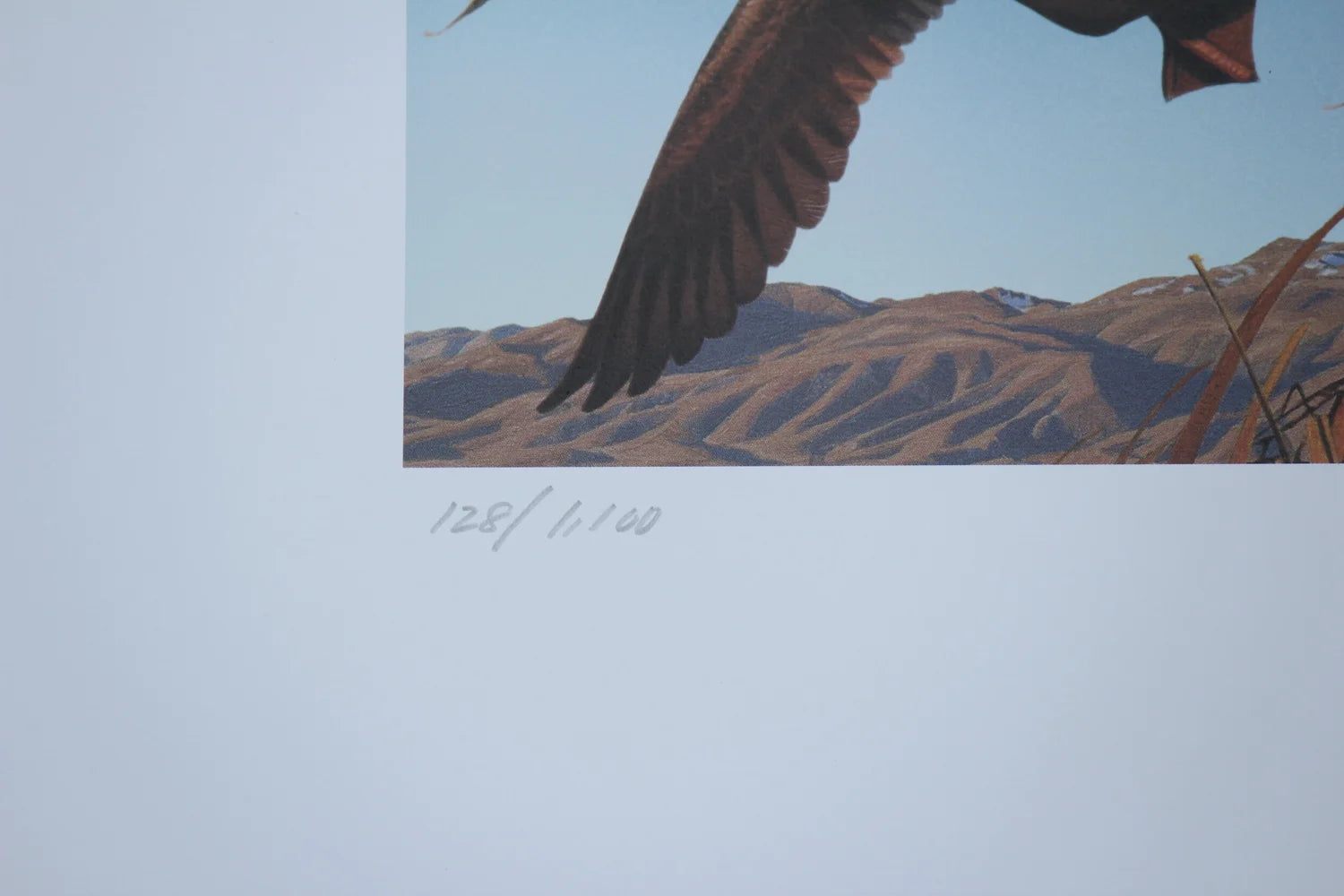 1999 Washington State Bufflehead Duck Print and Stamp