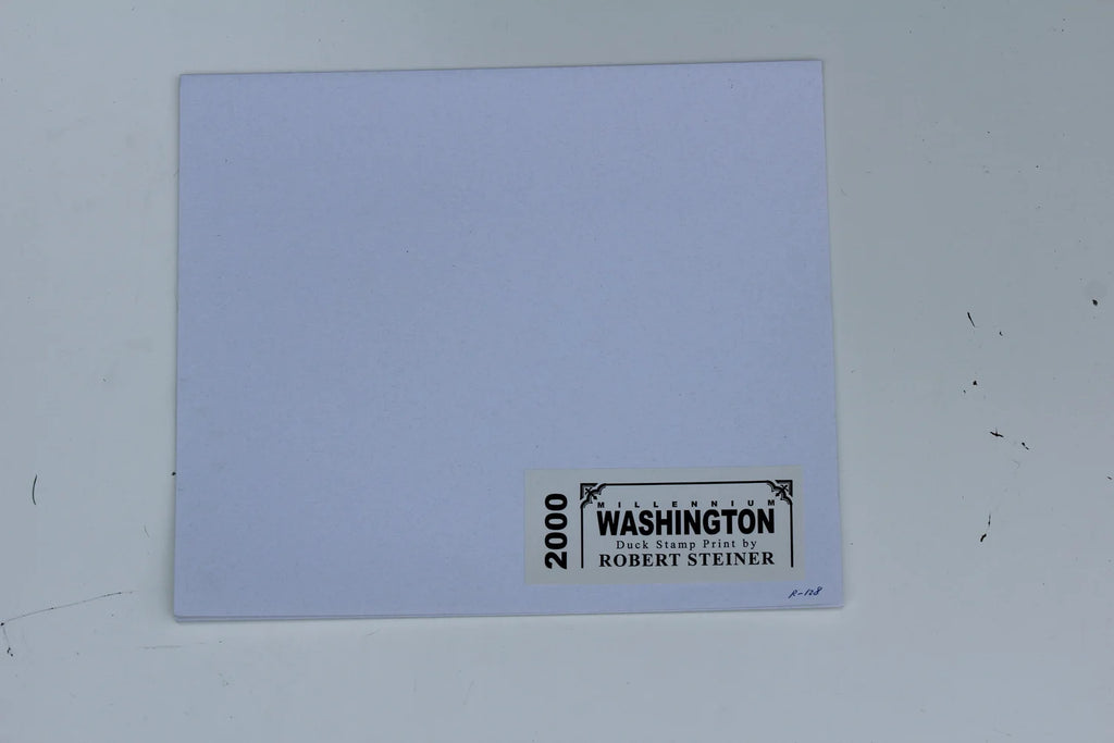 2000 Washington State American Widgeon Duck Print and Stamp