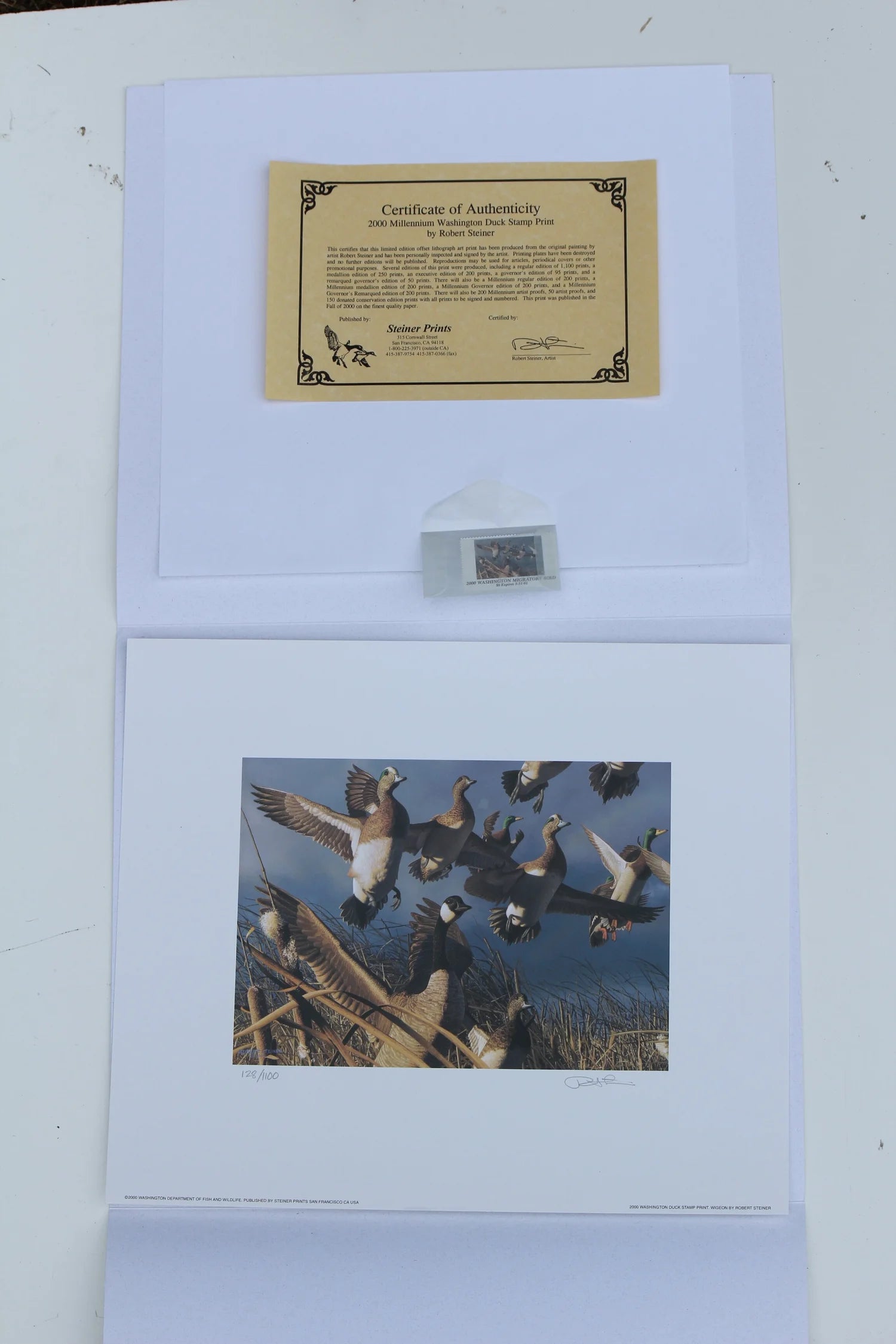 2000 Washington State American Widgeon Duck Print and Stamp