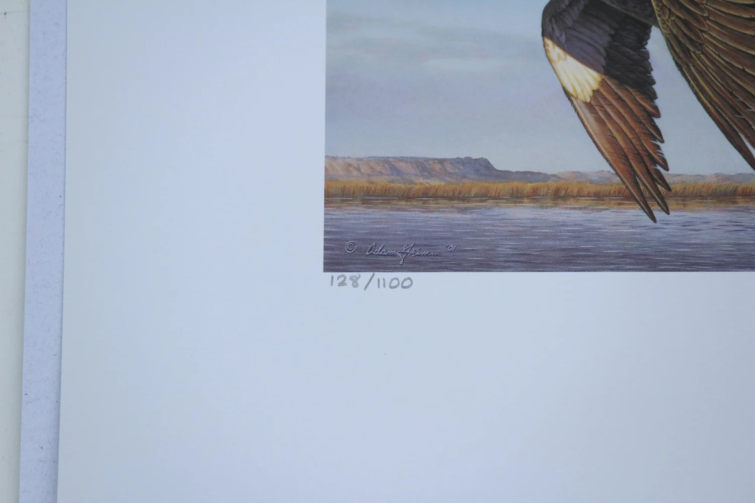 2001 Washington State Mallard Duck Print and Stamp