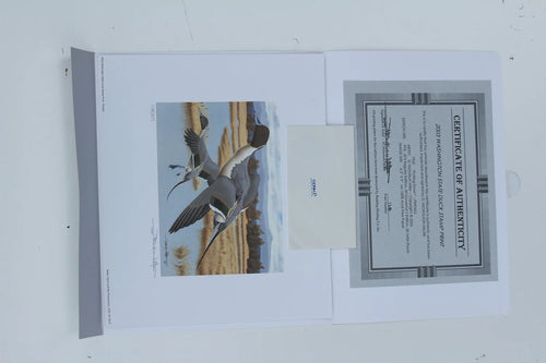 2003 Washington State Pintail Duck Stamp and Print
