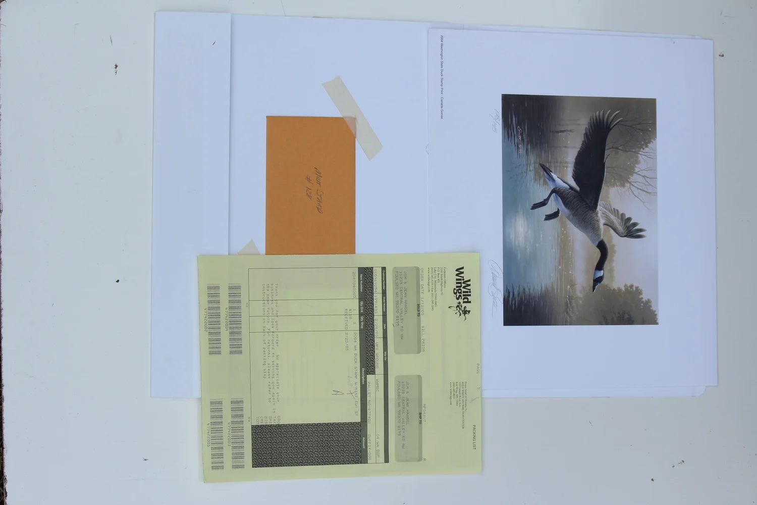 2004 Washington State Canada Goose Print and Stamp