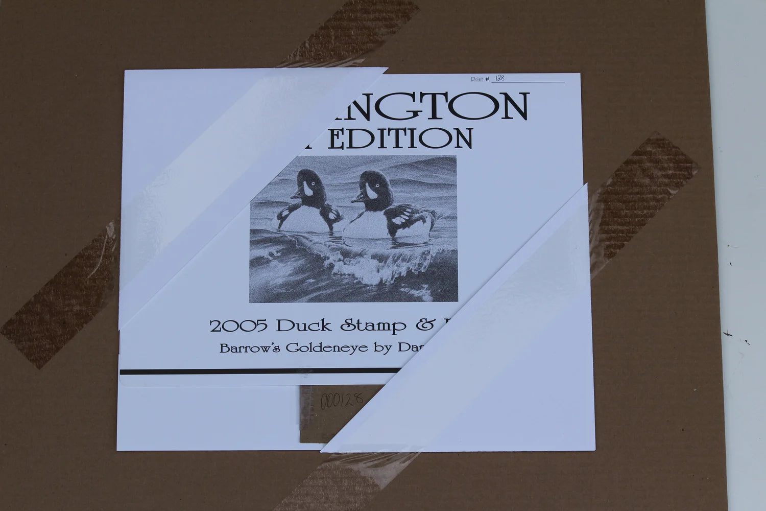 2005 Washington State Barrow's Goldeneye Stamp and Print