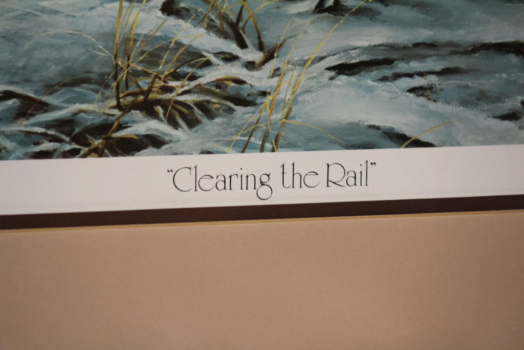 Clearing the Rail