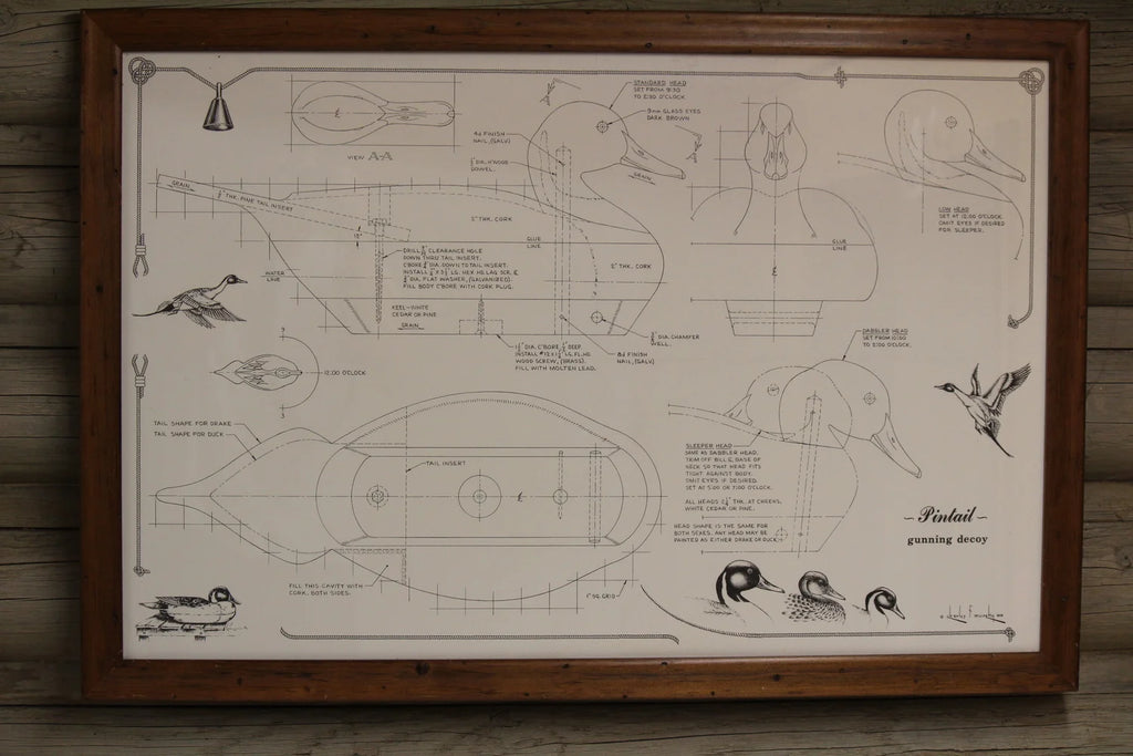 Bird Blueprint