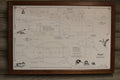 Bird Blueprint