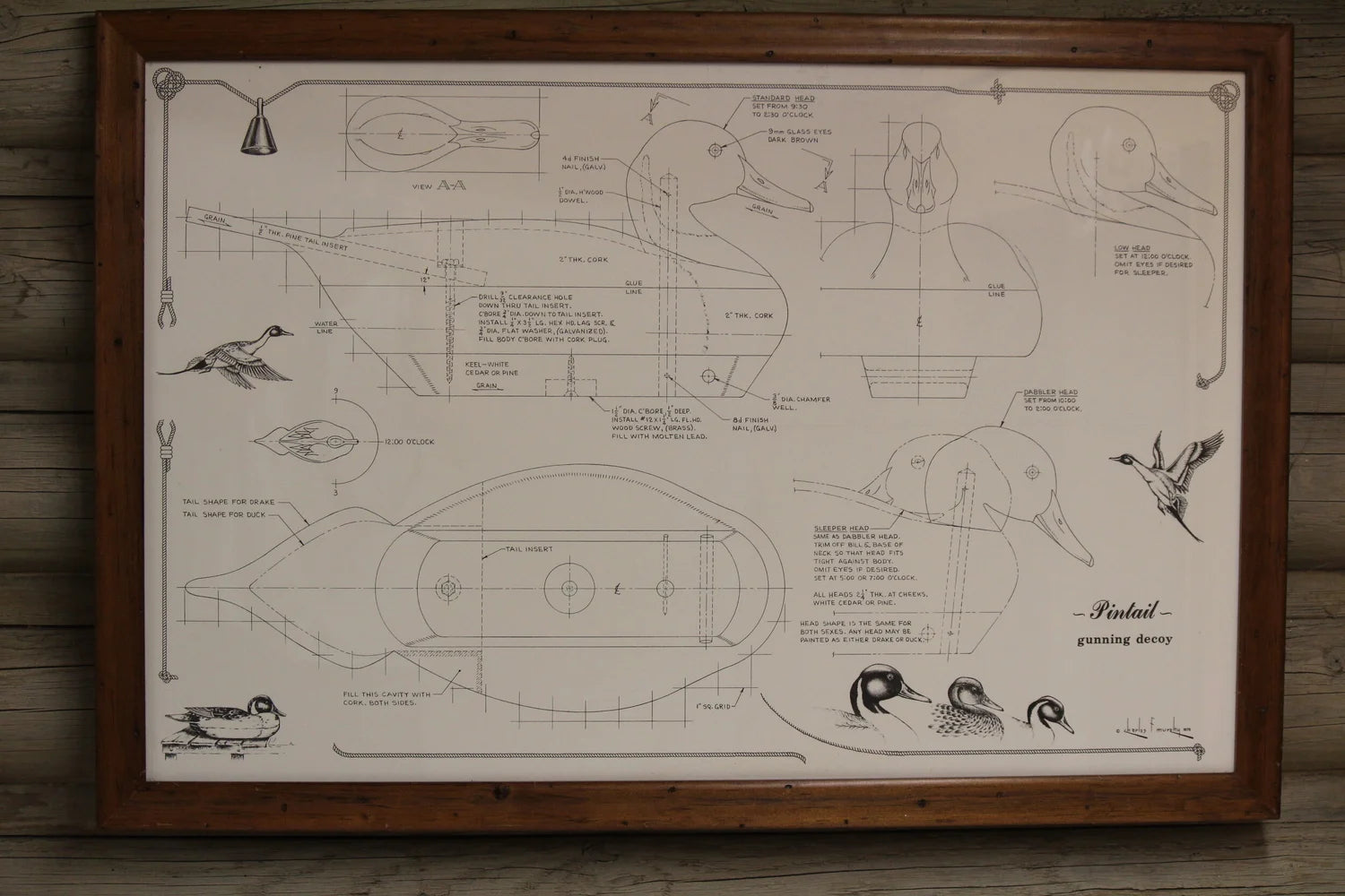 Bird Blueprint