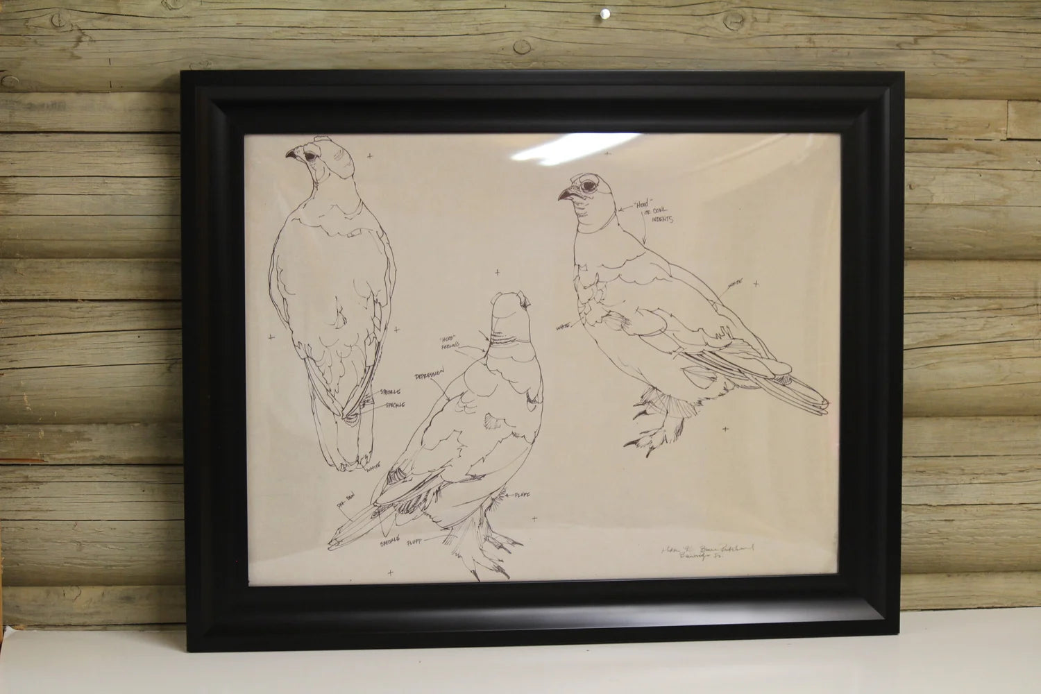 Bird Blueprint
