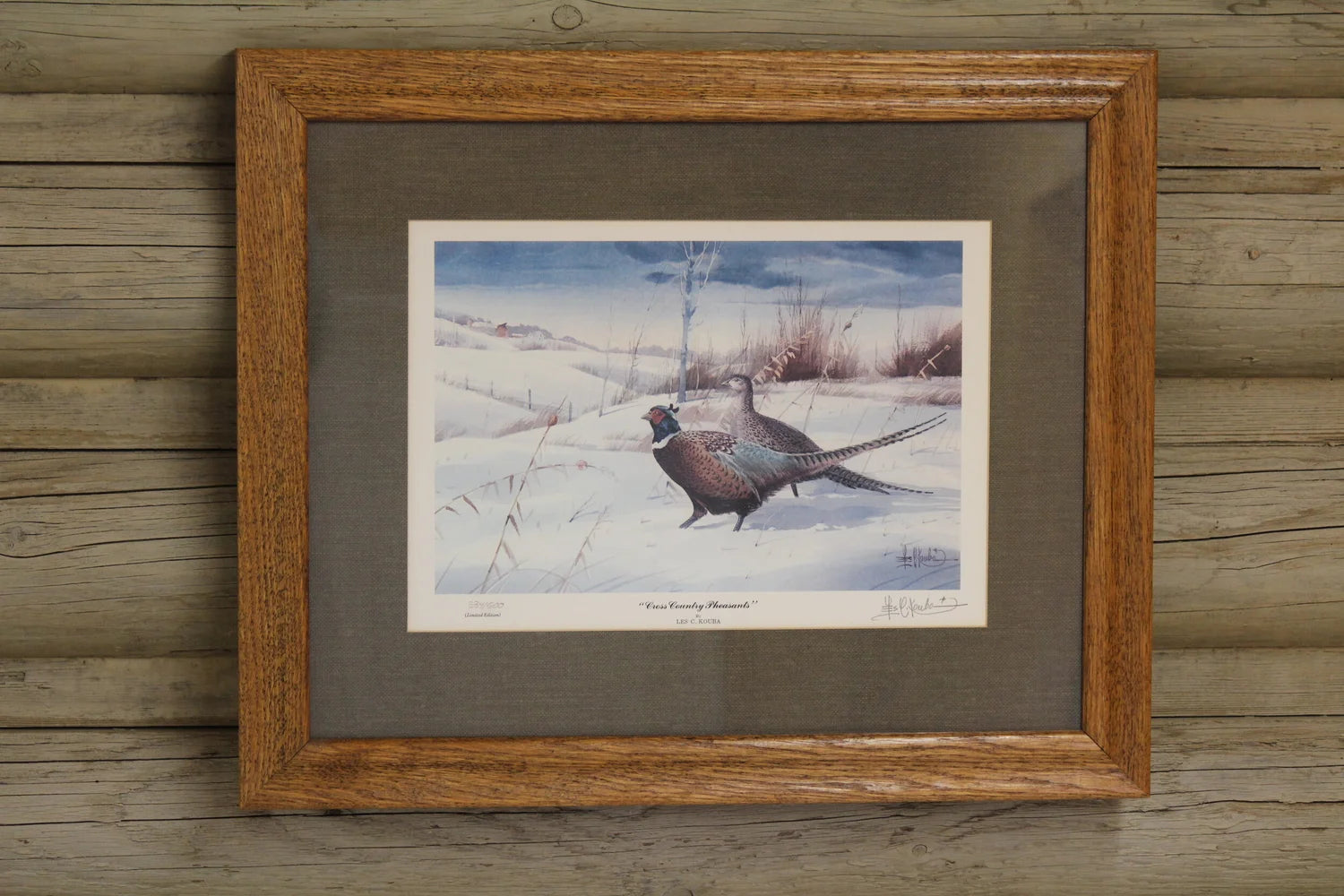 Cross Country Pheasants