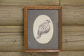 Dove