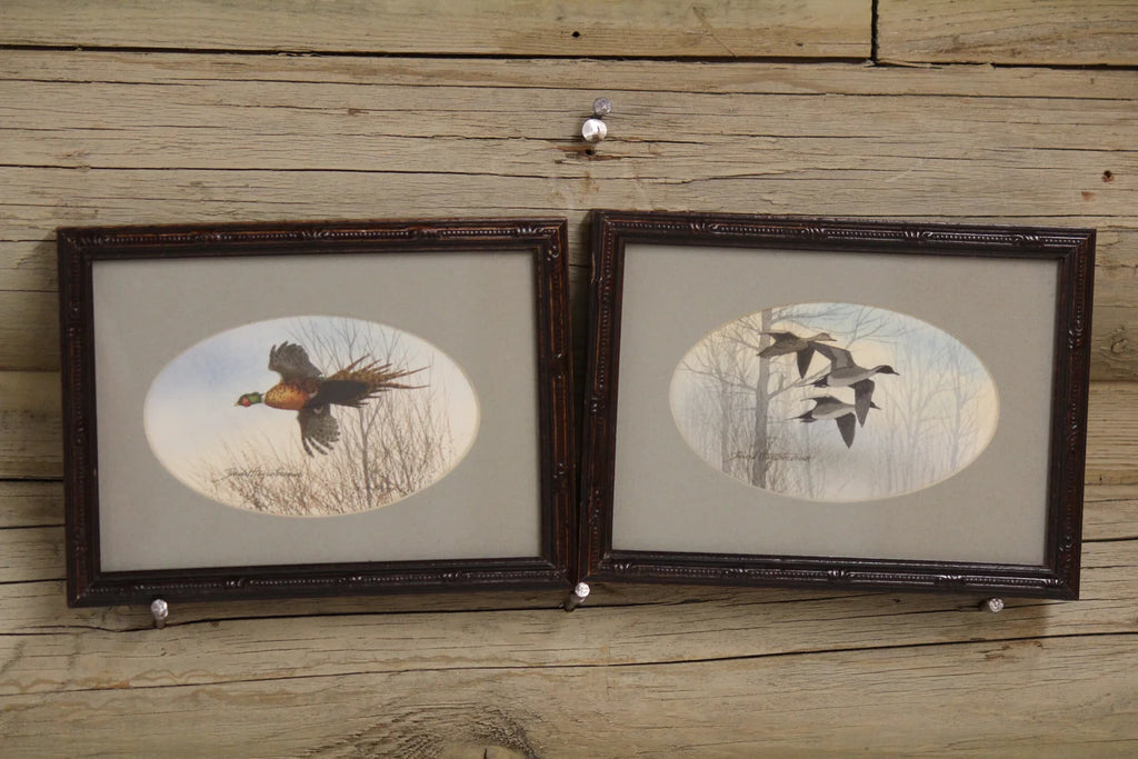 Pheasant and Pintails