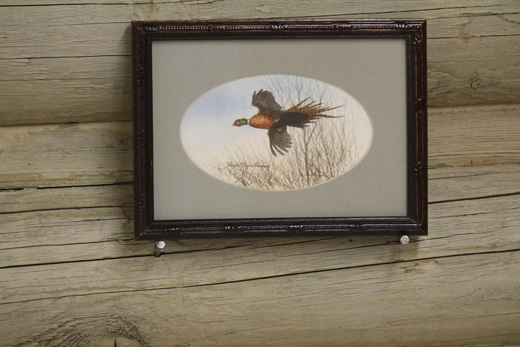 Pheasant and Pintails