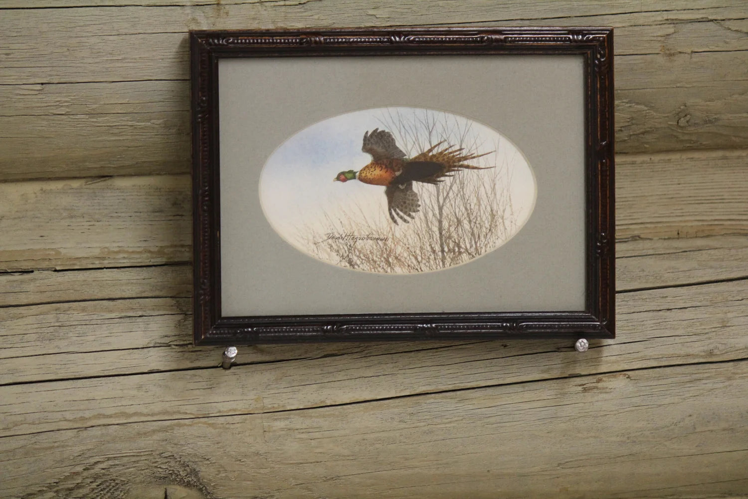 Pheasant and Pintails