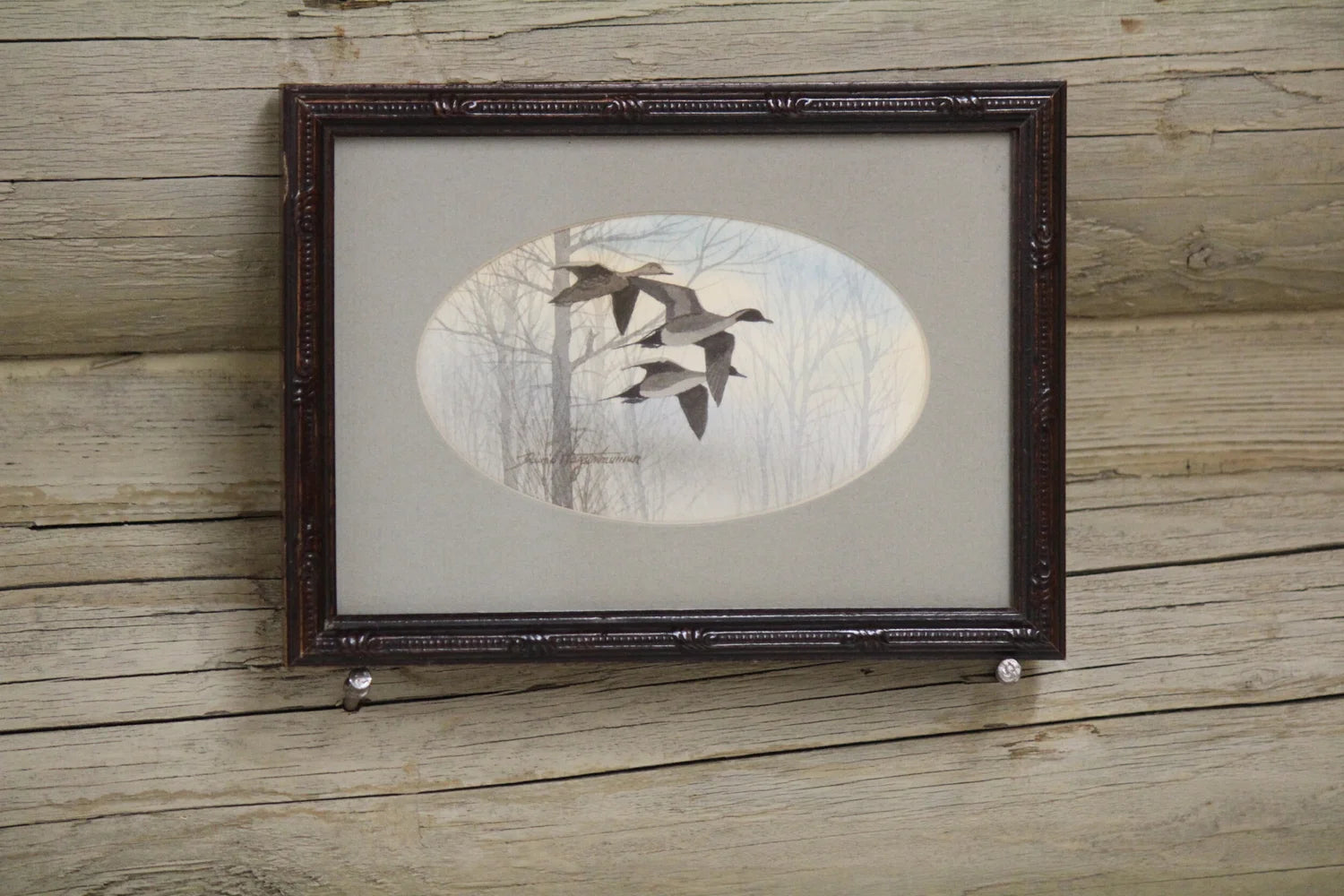 Pheasant and Pintails