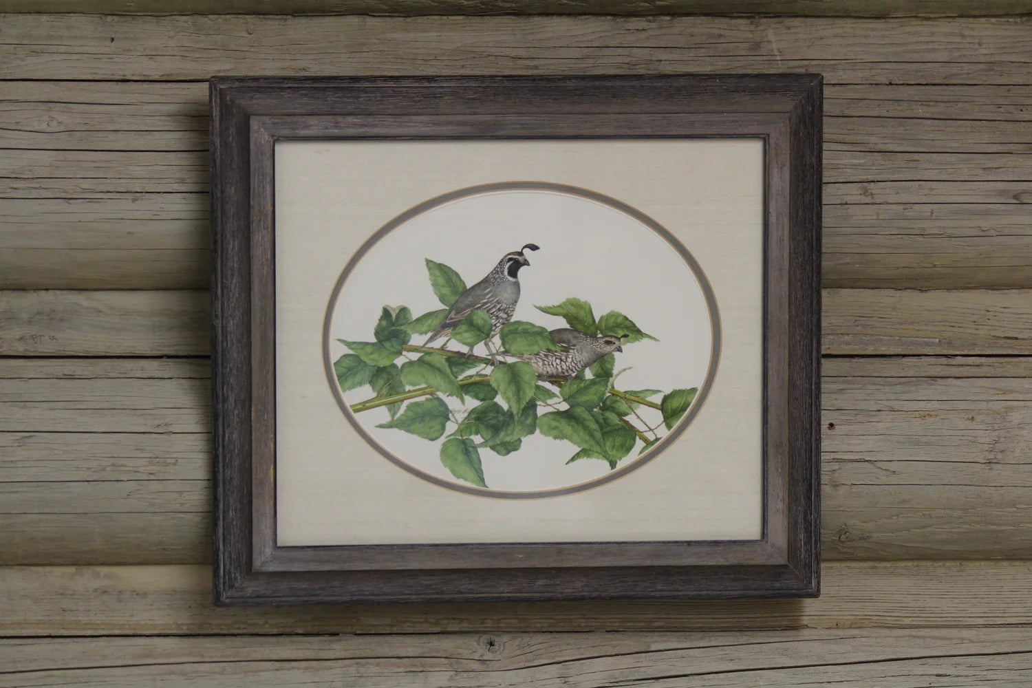 Quail
