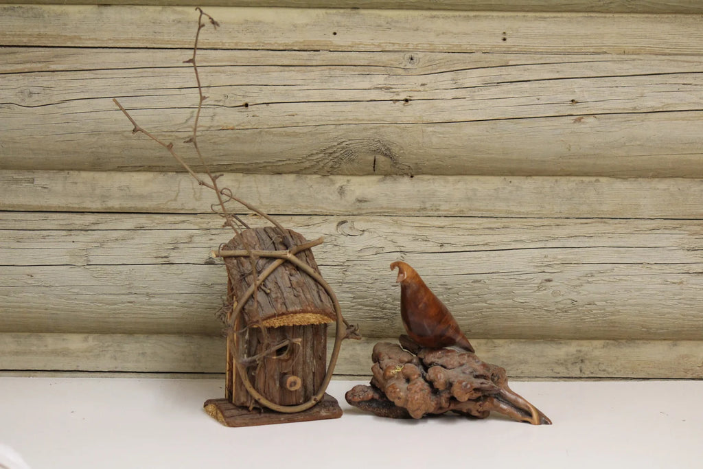 Bird and Birdhouse