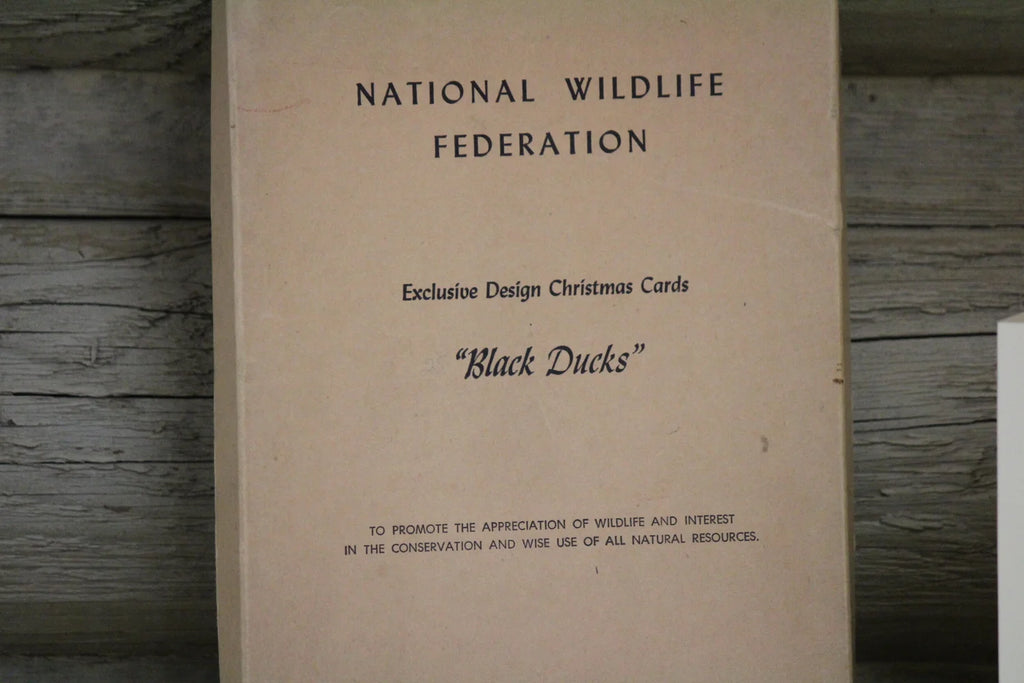 Black Duck Christmas Cards