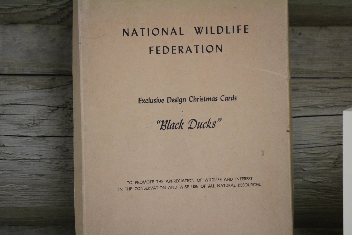 Black Duck Christmas Cards