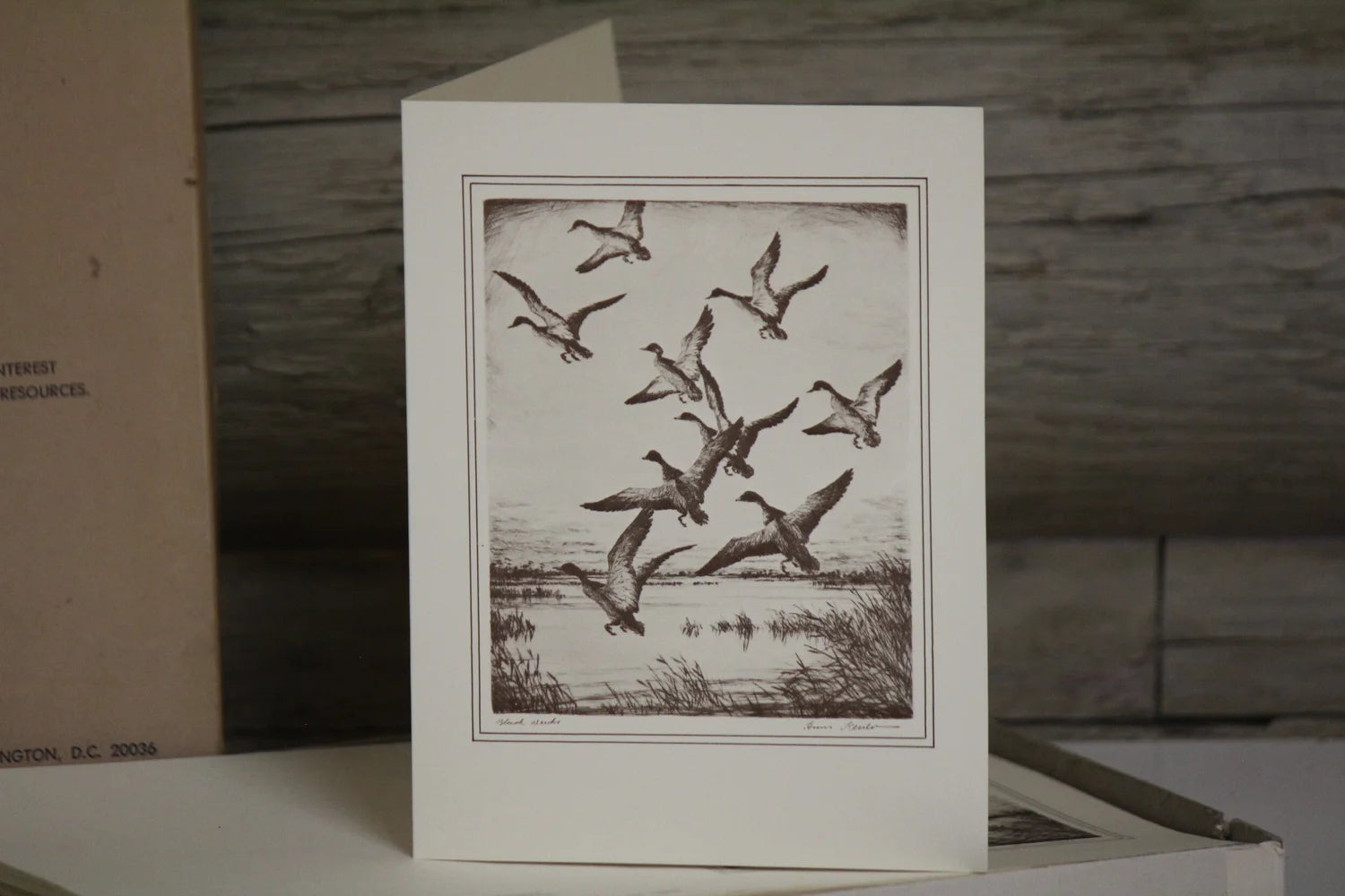 Black Duck Christmas Cards