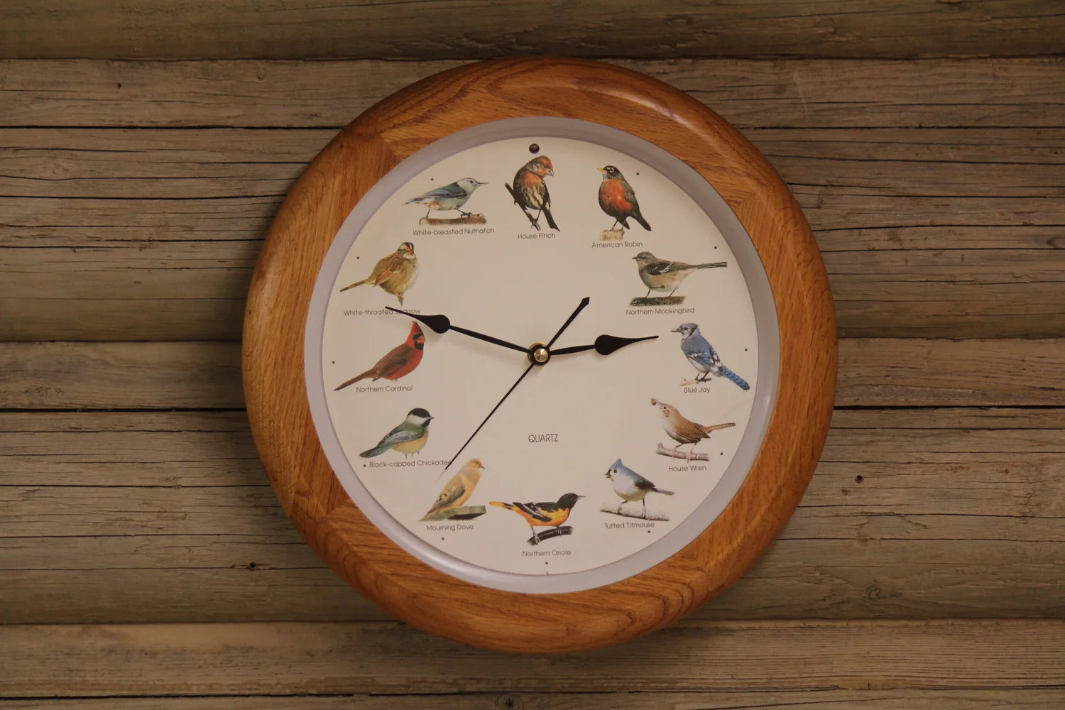 Bird Clock