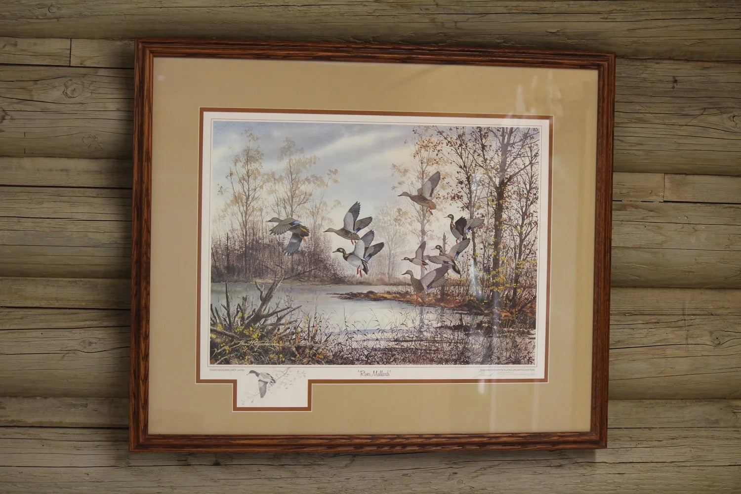 River Mallards by David Hagerbaumer (1/300)