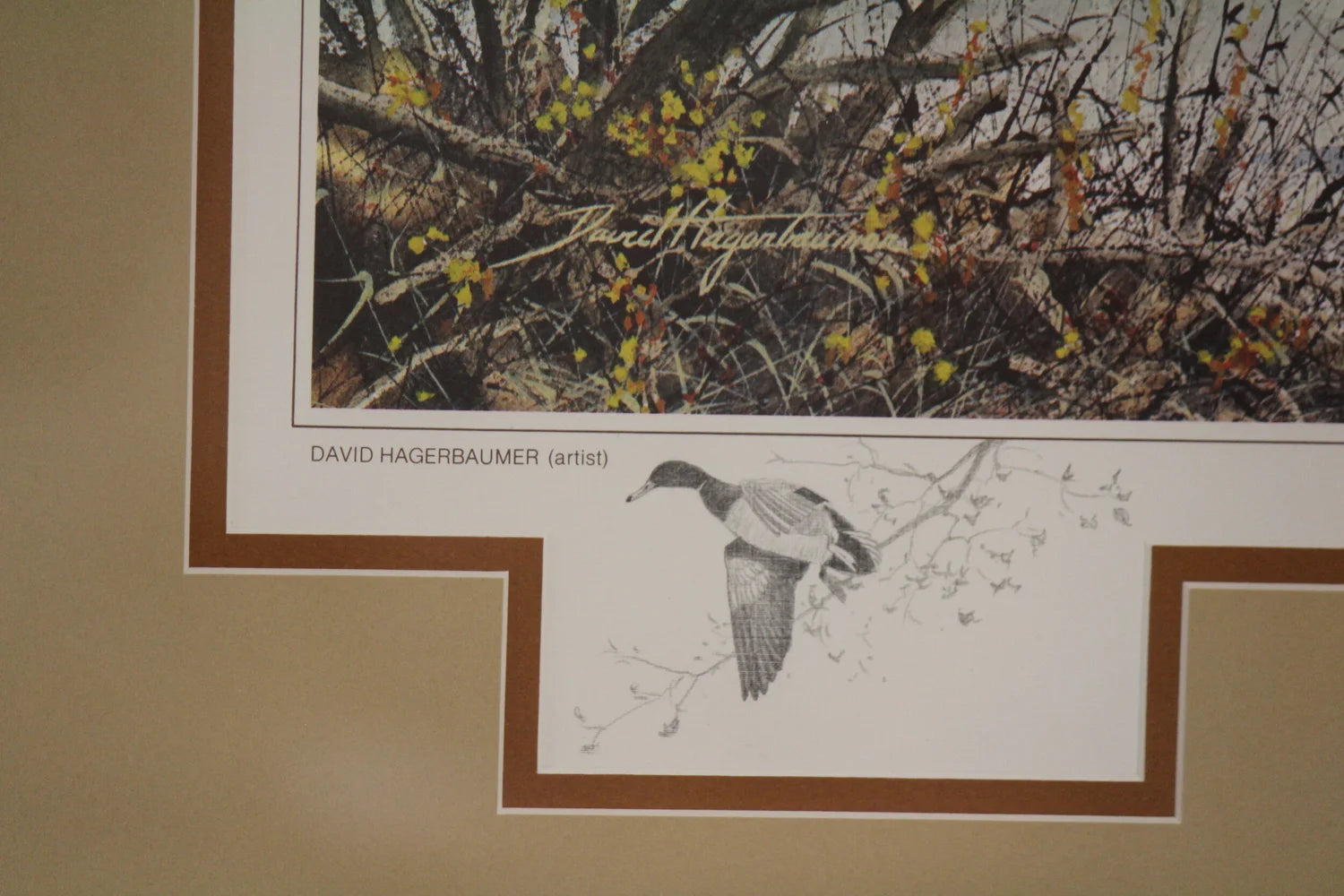River Mallards by David Hagerbaumer (1/300)