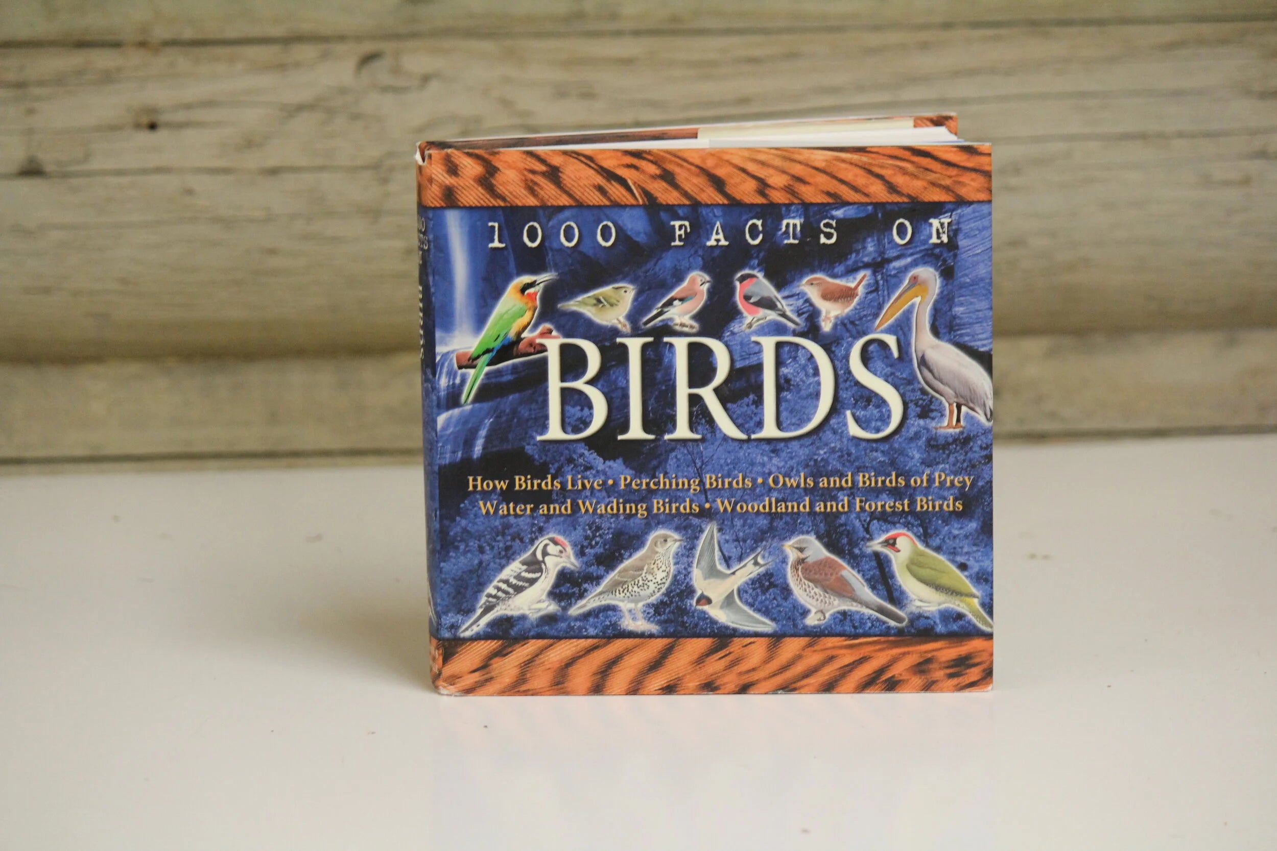 1000 Facts on Birds | Illustrated Hardcover Bird Encyclopedia | Children's Nature &amp; Wildlife Reference