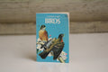 Birds: A Golden Guide by Herbert S. Zim & Ira N. Gabrielson | Golden Nature Guide | Bird Identification Field Guide