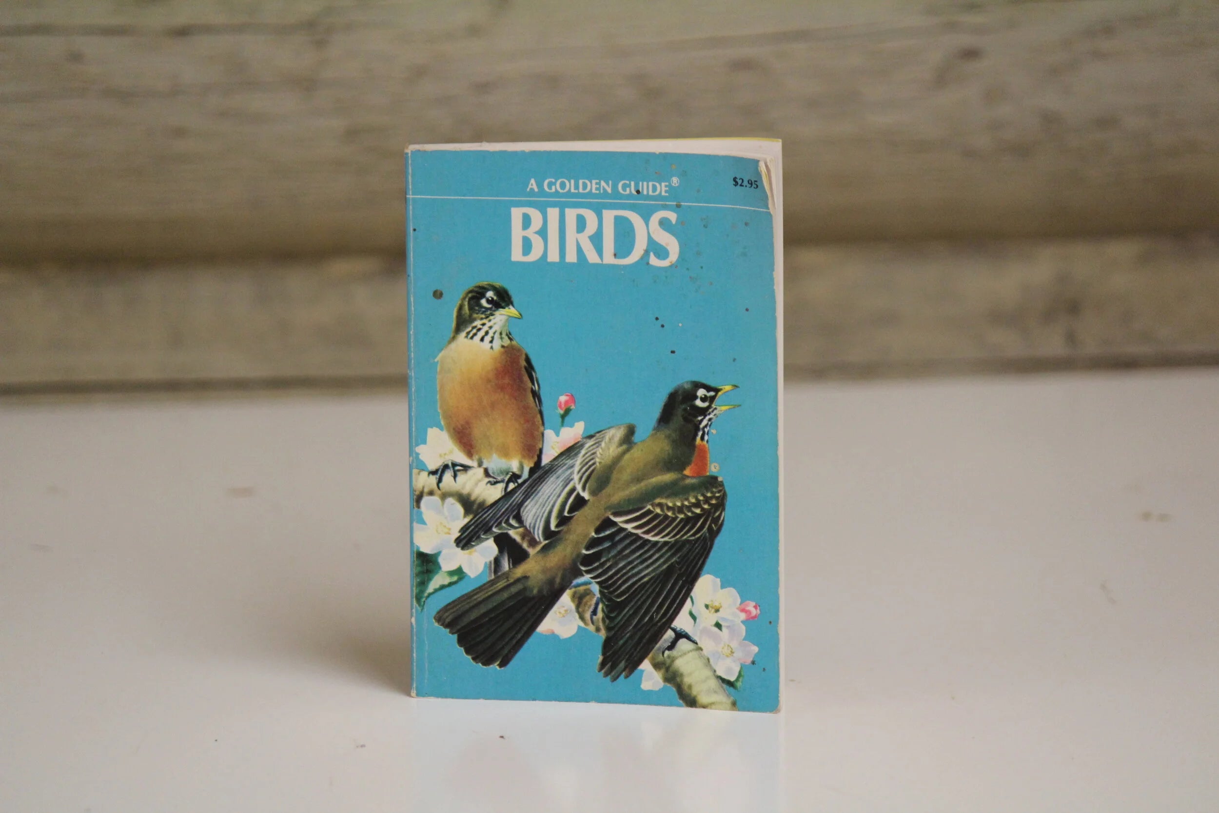 Birds: A Golden Guide by Herbert S. Zim & Ira N. Gabrielson | Golden Nature Guide | Bird Identification Field Guide
