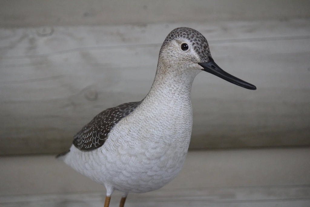 Greater Yellowlegs