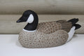 Cackling Goose