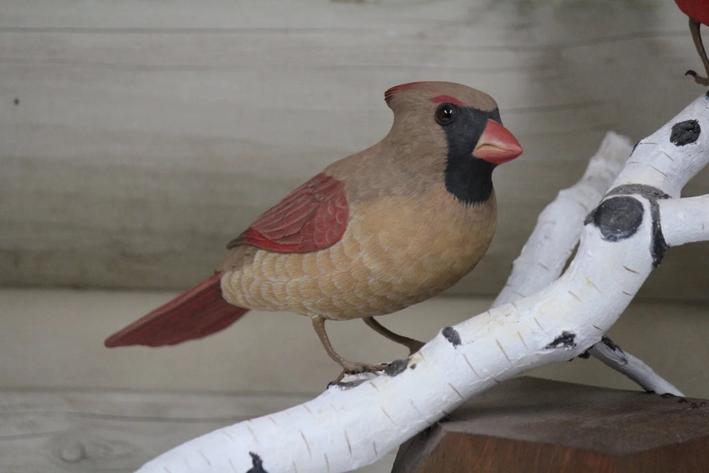 Cardinals