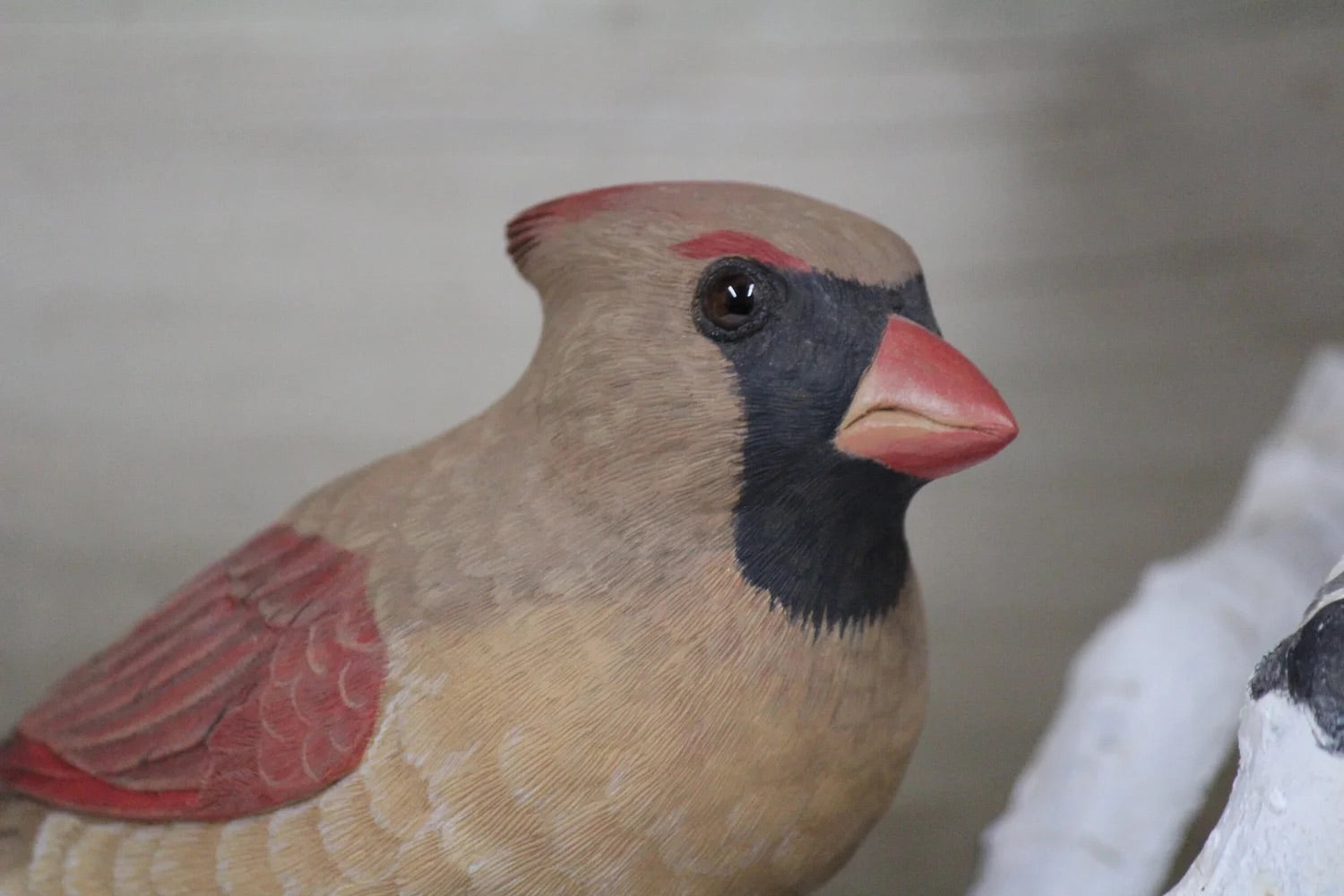 Cardinals