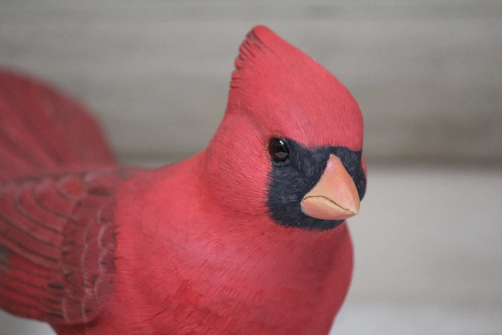 Cardinals