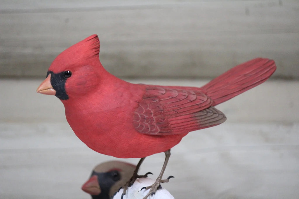 Cardinals