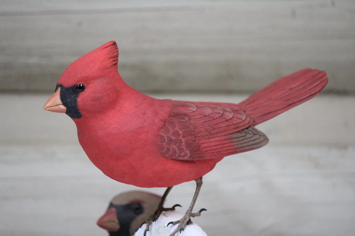 Cardinals