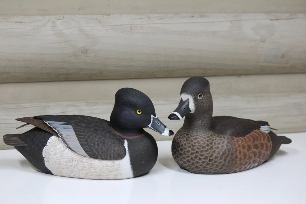 Ring Necks